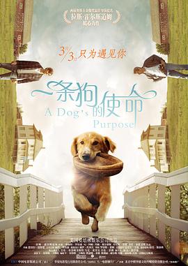 偷窥自拍网址
